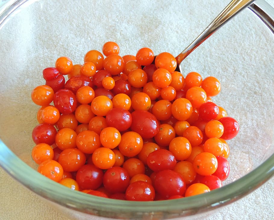 cherry tomatoes, red, orange, ripe, organic, fresh, vegetarian HD wallpaper