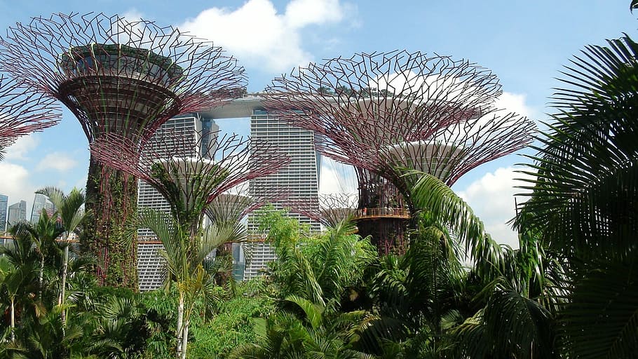 photo of marina bay sands during day time, palm Tree, travel Locations HD wallpaper