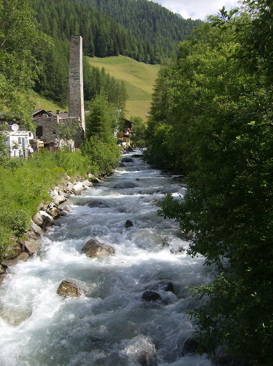 Stream, Predoi, Trentino, Spring, Mine, tree, forest, nature HD wallpaper