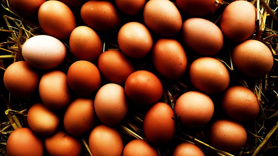 Egg, White, Ecru, Food, Fresh, One, organic, raw, single, close-up HD wallpaper