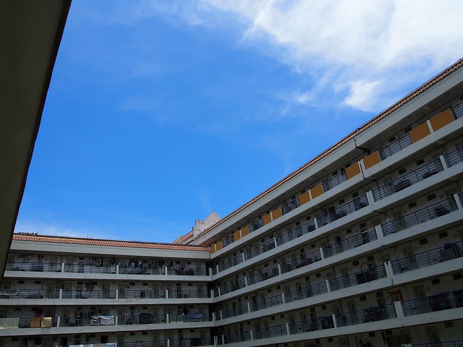 campus, university student, sleep, building exterior, architecture HD wallpaper