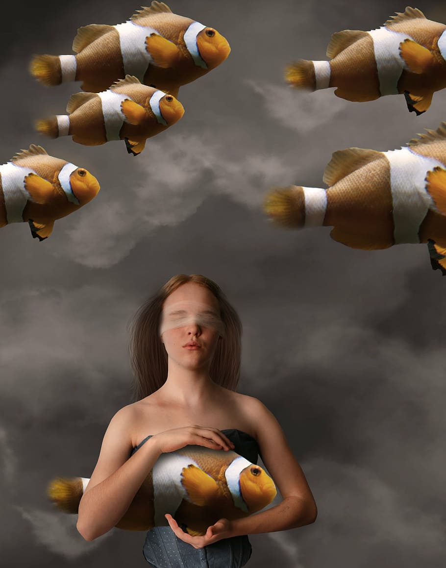 woman holding clown fish graphic wallpaper, surreal, dreaming, HD wallpaper