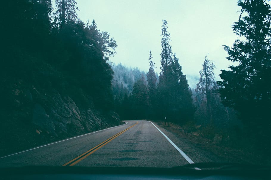 landscape photo of road, transportation, tree, plant, direction HD wallpaper