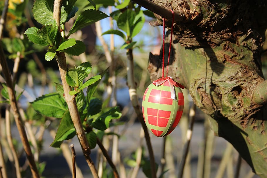 easter, decoration, branches, egg, spring, pasture, hanging HD wallpaper