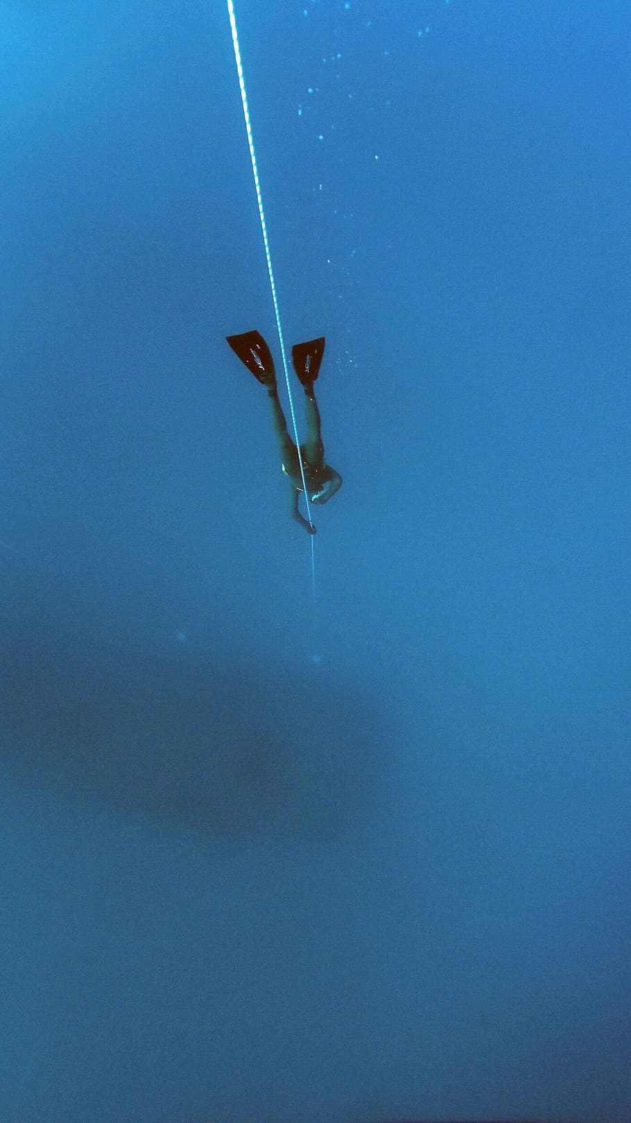 diving, deep, underwater, diver, depth, sport, apnea, marine HD wallpaper