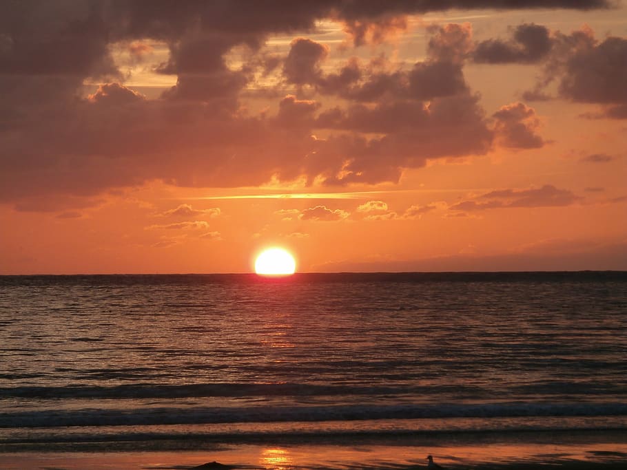 sunset, sea, beach, nature, summer, dusk, sunlight, sky, water HD wallpaper