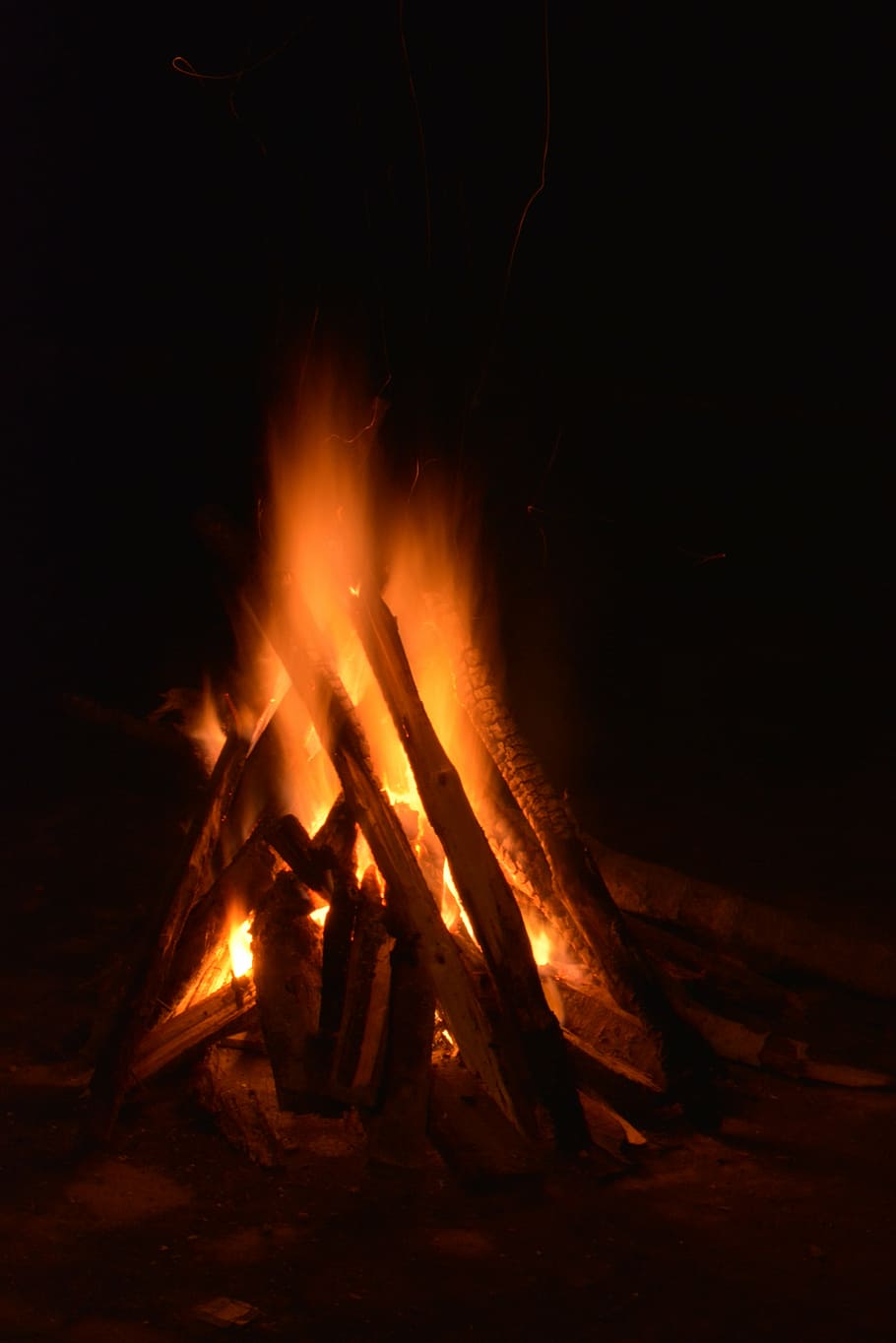 bonfire, campfire, flame, blaze, orange, fiery, wood, camping HD wallpaper