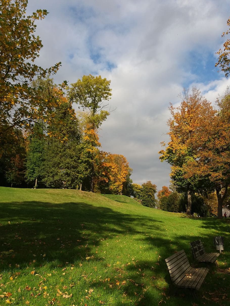 autumn, nature, tree, germany, backgrounds, landscape, panorama HD wallpaper