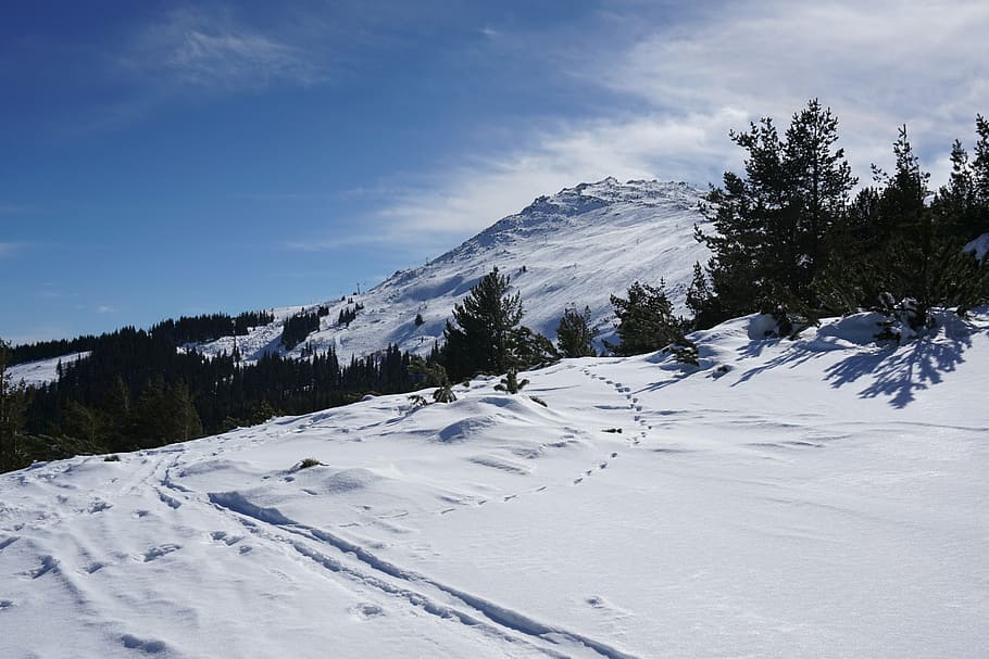 vitosha, sofia, bulgaria, peak, snow, winter, mountain, frost