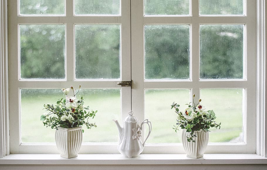 white wooden framed glass window with plants, shield, flower HD wallpaper