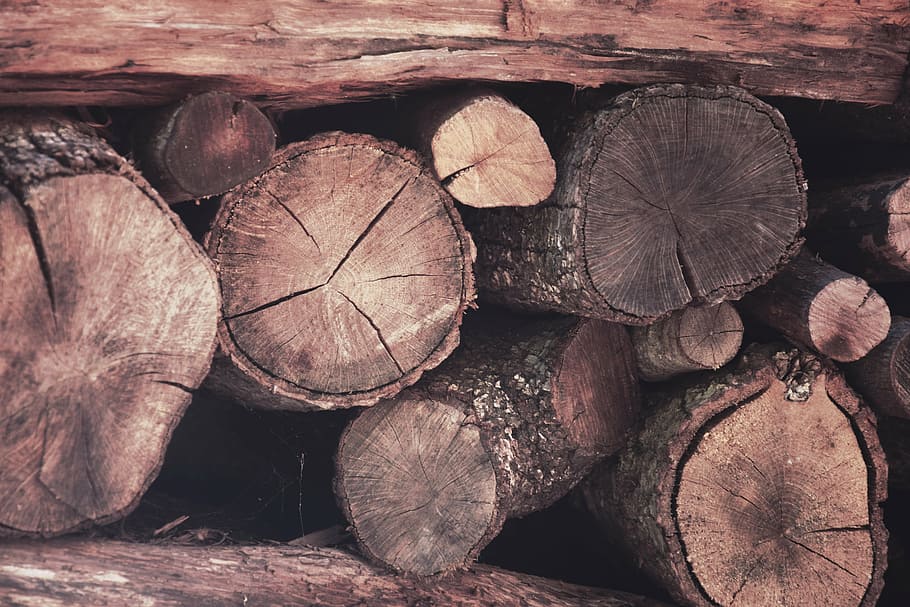 wood, trunks, autumn, spring, summer, winter, fire, firewood HD wallpaper