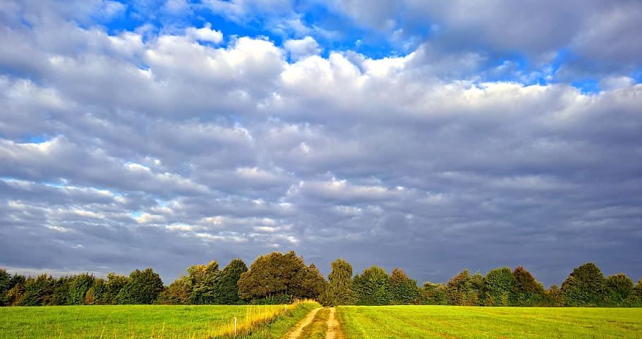threatening, rain clouds, mood, nature, gewitterstimmung, cloudiness HD wallpaper