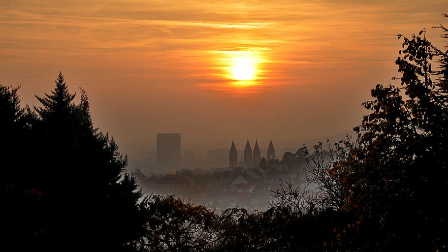 sunset, autumn, red, dusk, tree, sky, plant, fog, orange color HD wallpaper