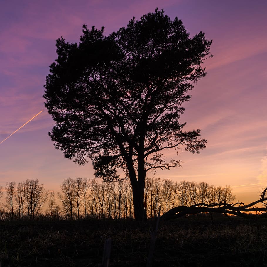 sunset, back light, dusk, silhouette, clouds, lighting, romance HD wallpaper