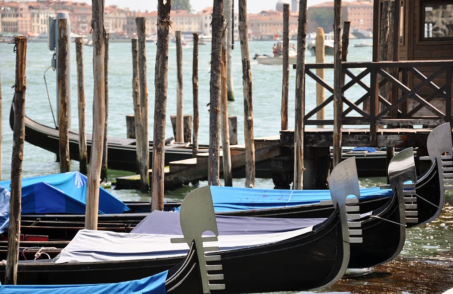 venice, gondolas, laguna, nautical vessel, moored, water, mode of transportation HD wallpaper