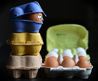 three blue, yellow, and brown poultry of eggs photography, egg cartons HD wallpaper
