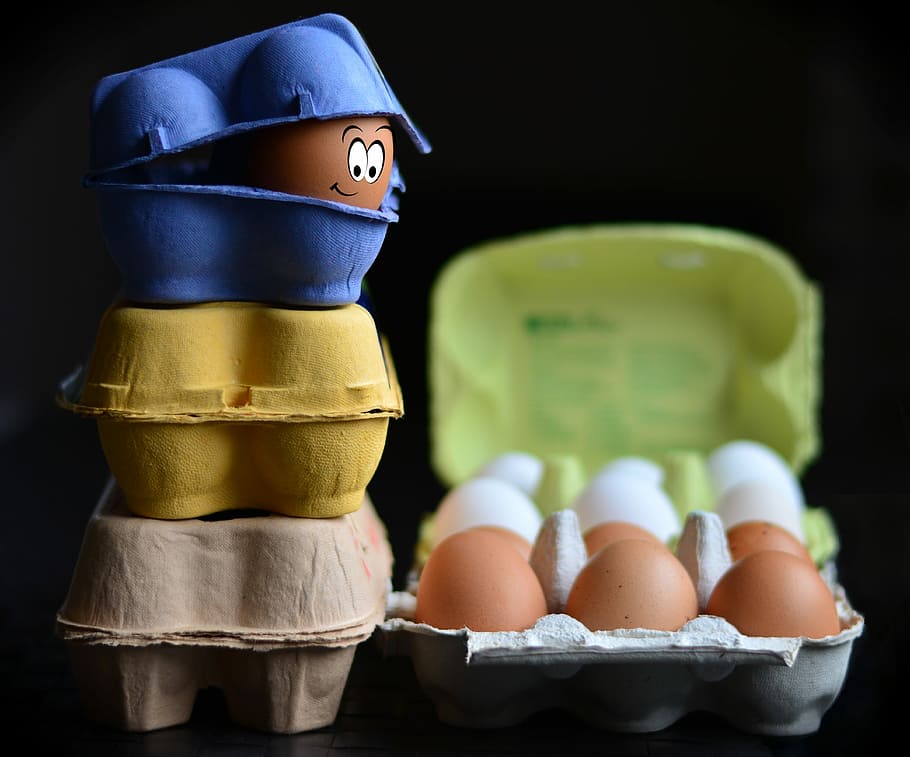 three blue, yellow, and brown poultry of eggs photography, egg cartons HD wallpaper