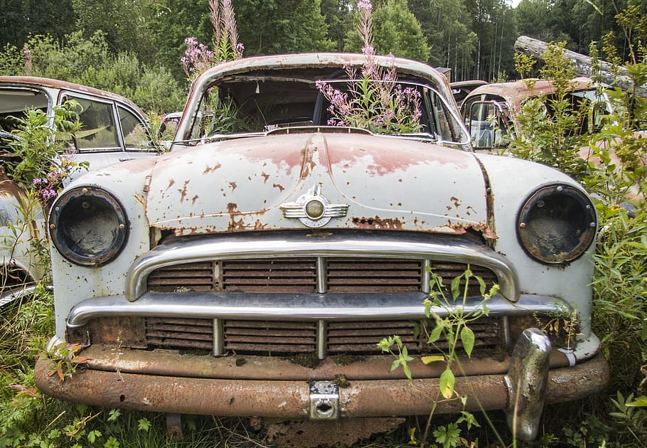 classic abandoned vehicle surrounded green leafed plant, car HD wallpaper