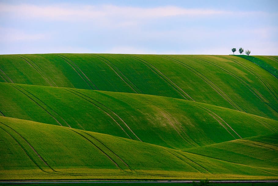 green, grass, grassland, mountain, landscape, nature, field HD wallpaper