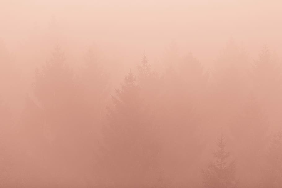 backgrounds, abstract, nature, textured, pattern, no people, full frame HD wallpaper