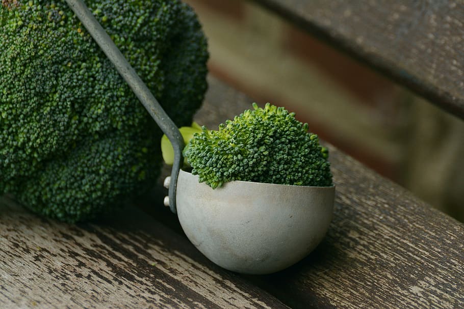 green leaf plant on white pot, broccoli, vegetables, healthy HD wallpaper
