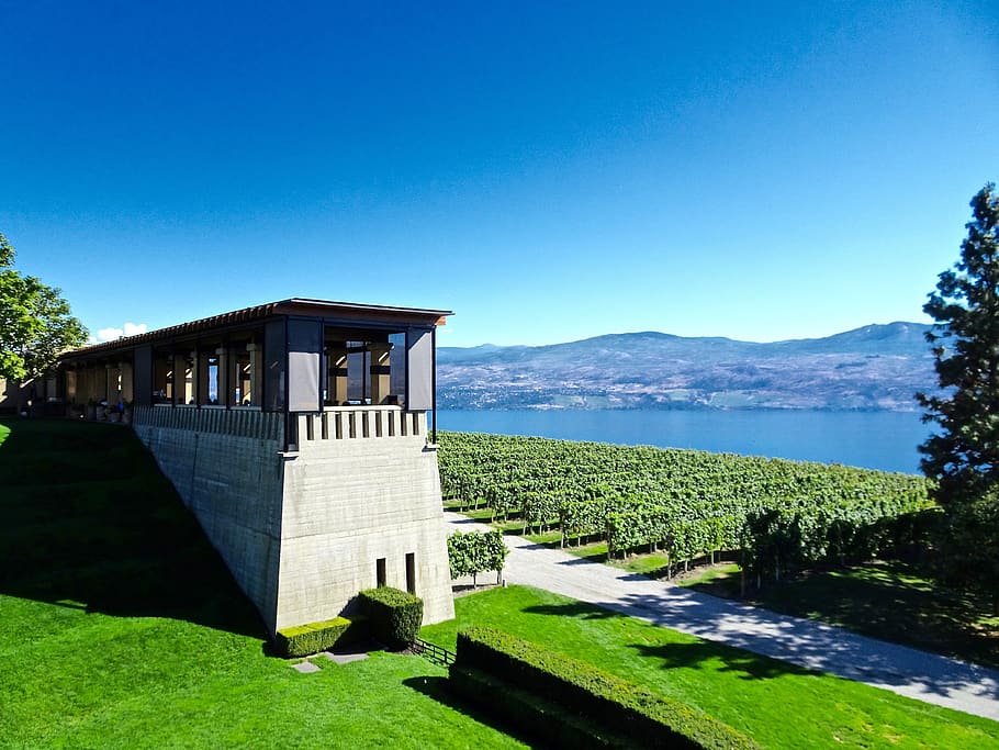 restaurant, view, outlook, cafe, kelowna, canada, architecture, HD wallpaper