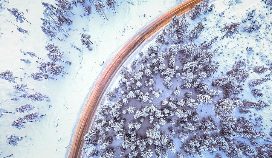 aerial photo of trees covered with snow, winter, white, road HD wallpaper