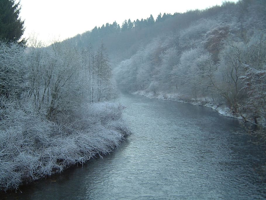 Wupper, Frost, Water, nature, beauty in nature, scenics, tree, HD wallpaper