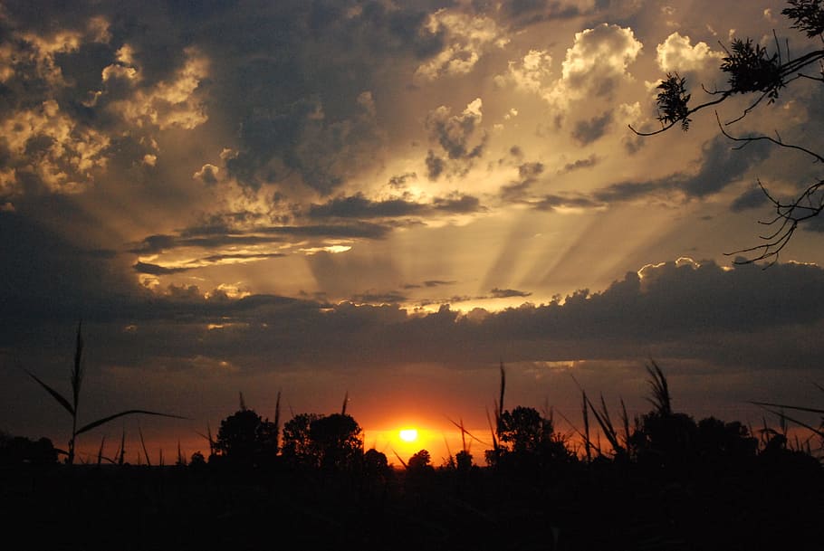 Evening, Sunset, Nature, evening sky, silhouette, dusk, orange Color HD wallpaper