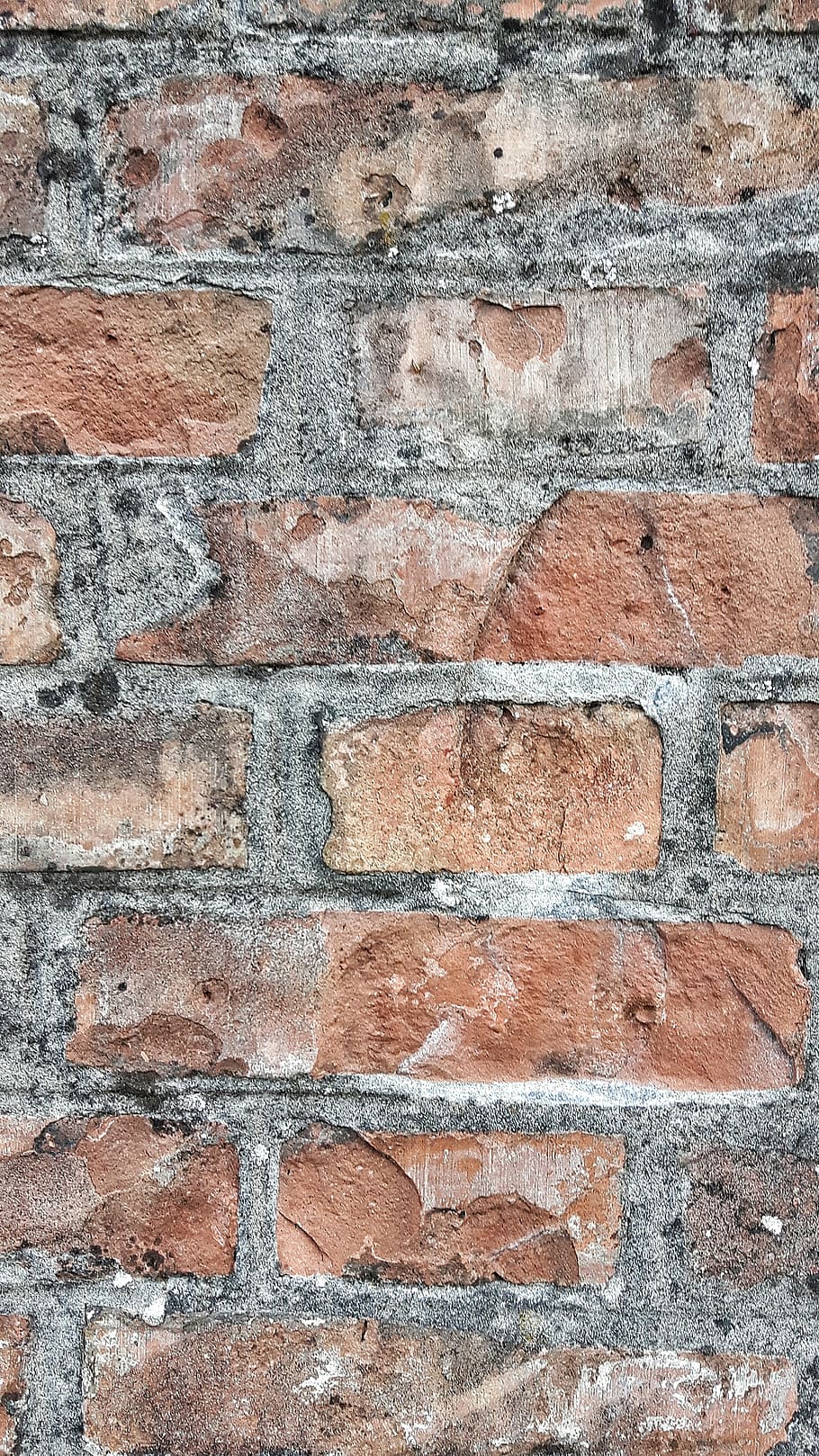 wall, color, texture, sassi, bricks, building, brick wall, backgrounds HD wallpaper