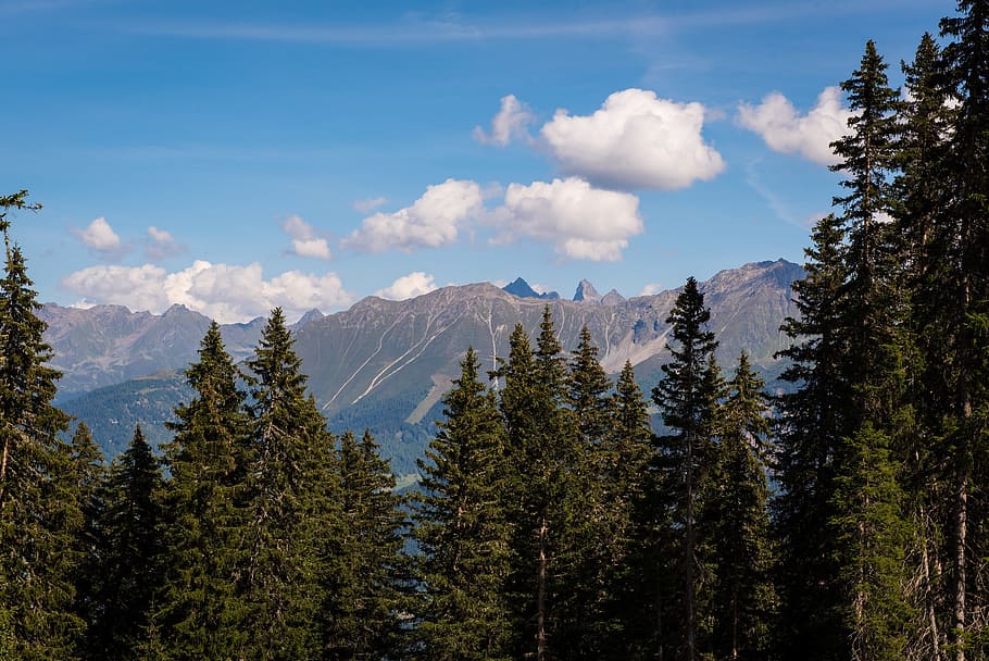 landscape, mountains, view, outlook, trees, conifers, sky, clouds HD wallpaper