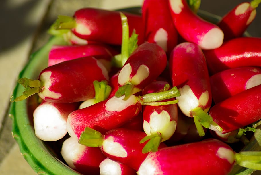 radish, vegetable garden, vegetables, red, food and drink, healthy eating HD wallpaper