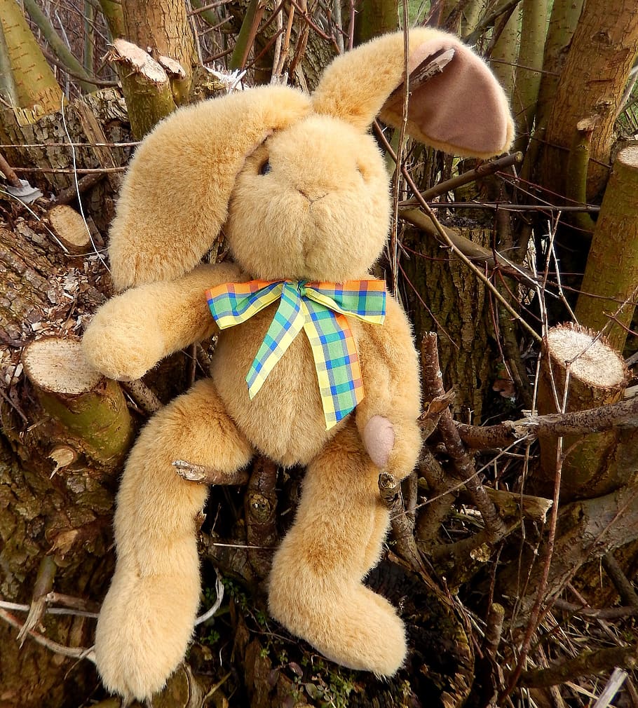 easter, easter bunny, spring, nature, figure, greeting card HD wallpaper