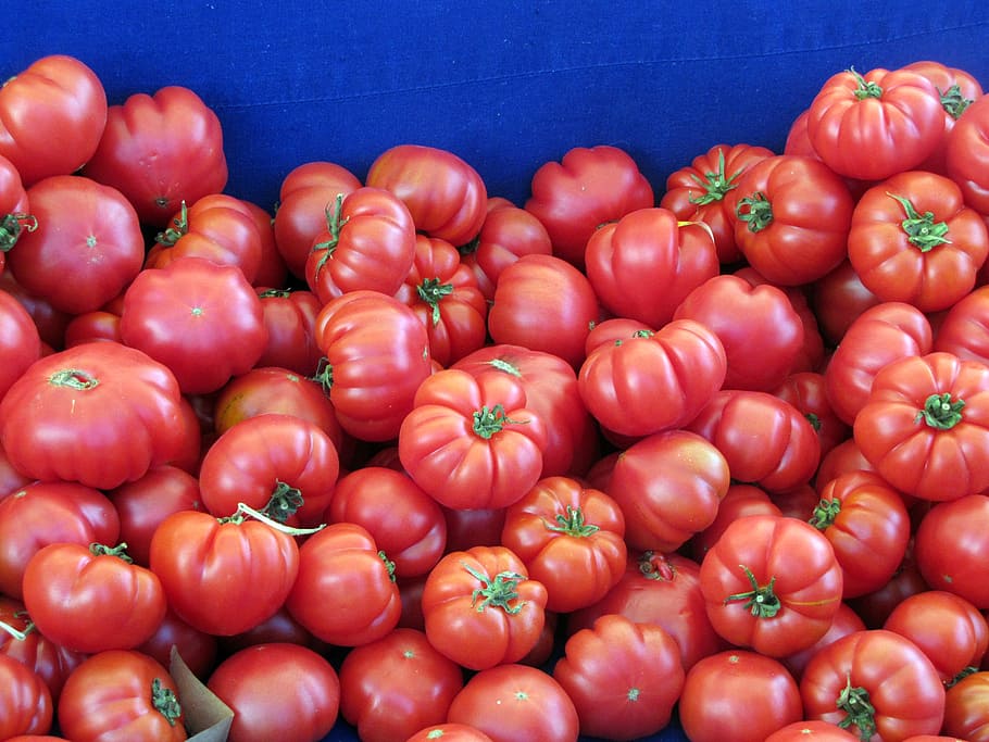 tomatoes, vegetable, food, red, healthy, organic, healthy foods HD wallpaper