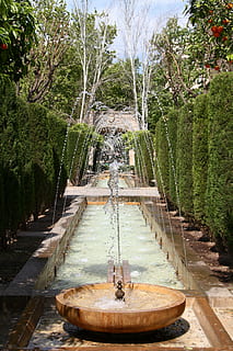 fountain, water feature, bubble, tree, plant, nature, day, growth HD wallpaper