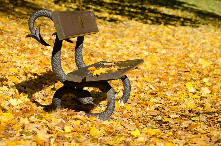 brown and black metal bench surrounded with maple leaves, autumn HD wallpaper