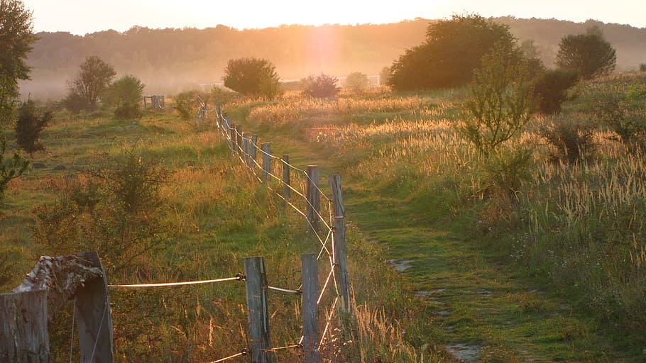 path, pen, fence, sunset, glow, range, landscape, beauty, field trip HD wallpaper
