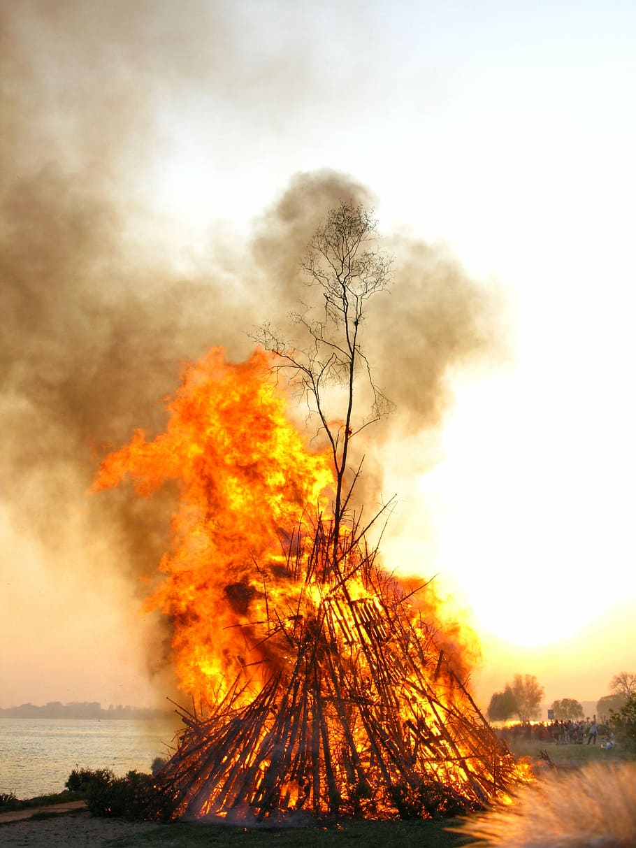 easter fire, elbe, sky, nature, land, tree, beauty in nature HD wallpaper
