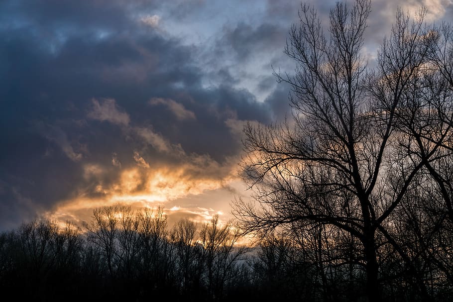 sky, sunset, clouds, tree, colors, nature, orange sky, cloud - sky HD wallpaper