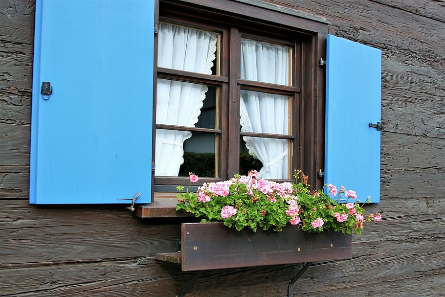window, shutters, facade, bavaria, house, monument, flower HD wallpaper