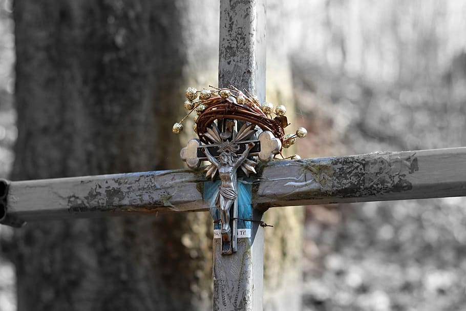 history, forest, cross, metal, no people, day, focus on foreground HD wallpaper