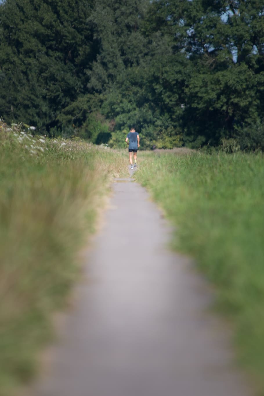 outside, running, field, shape, condition, fit, fitness, health HD wallpaper