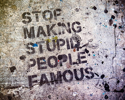 stop making stupid people famous text, Stop Making Stupid People Famous printed pavement HD wallpaper