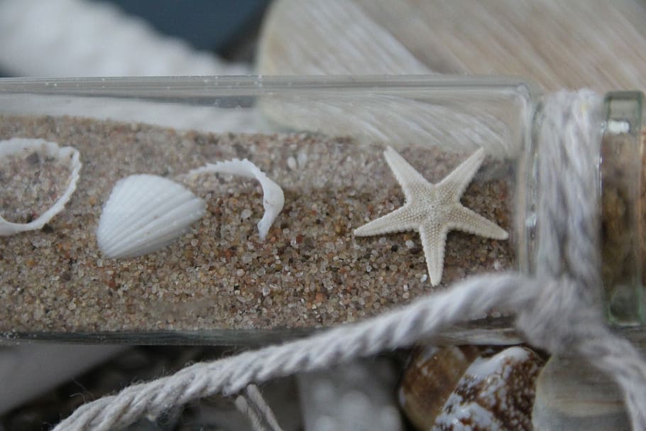 Starfish, Bottle, Sand, close-up, no people, day, outdoors HD wallpaper