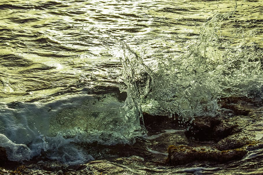 splash, wave, water, drop, liquid, nature, splashing, motion HD wallpaper