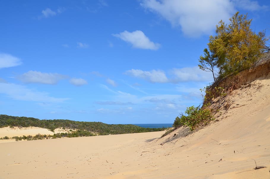 dunes, beach, sea, sand, holiday, sky, cloud - sky, land, tranquil scene HD wallpaper