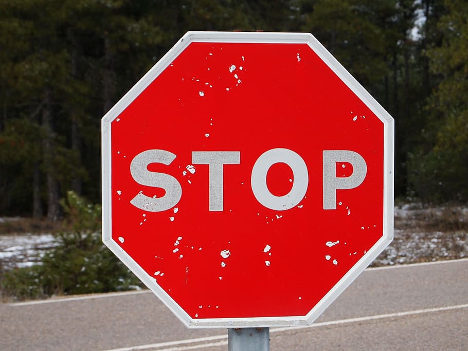 stop, for, signal, red, communication, warning sign, road, road sign HD wallpaper