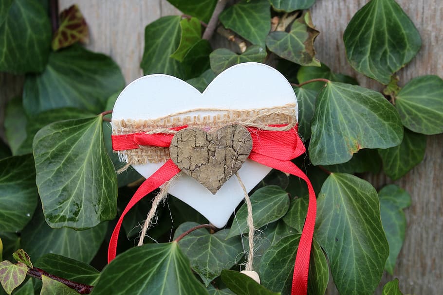 heart, leaf, nature, creeper, plant, plants, arrangement, plant part HD wallpaper