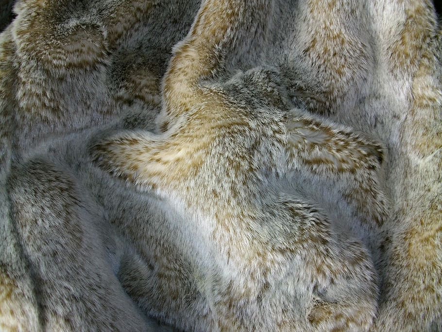 Fur, Material, Texture, one animal, animals in the wild, animal themes HD wallpaper