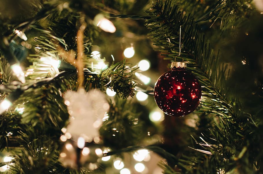 red bauble on green christmas tree, rule of thirds photography of red bauble HD wallpaper